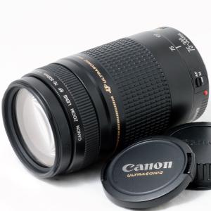 EF-S キヤノン 望遠ズームレンズ Canon 55-250mm F4-5.6 ISII 手振れ