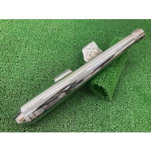 ◇新品U-CP エリミネーター250V/ELIMINATOR250V(全年式)ステンレス