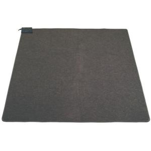 Panasonic（パナソニック） DC-2NKM ホットカーペット 本体のみ 2畳