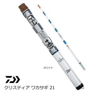 DAIWA（ダイワ） 投げ竿 20 サンダウナー コンペティション プロトギア