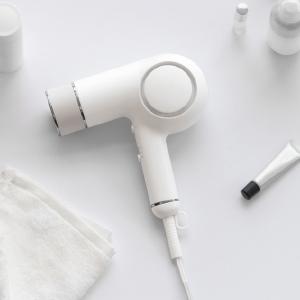 ツインバード（TWINBIRD） 【公式店限定】ドライヤー 低温 低風量 TB