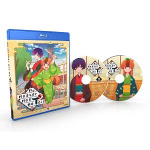 鎧伝サムライトルーパー TV版第1+2部 全39話BOXセット DVD