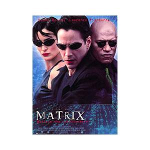 マトリックス ポスター THE MATRIX Lサイズ : バニティスタジオ