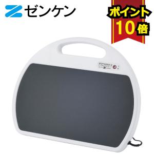 ゼンケン 【選べる2大特典付】 ホットカーペット 2畳 電磁波カット