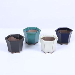 盆栽鉢 畑中兵衛 陶芸鑑賞としての楽しさ : 盆栽屋.com - 通販 - Yahoo