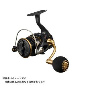 DAIWA（ダイワ） 24スティーズSV TW 100-XHL (左ハンドル） : KK
