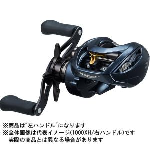 DAIWA（ダイワ） 23スティーズ A II TW 1000XHL 左ハンドル 送料無料