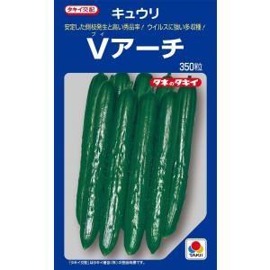 SK9-099 ブロッコリー種子 ペレット5000粒 【野菜種子】【サカタのタネ
