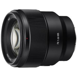 ニコン（Nikon） AF-S DX NIKKOR 18-140mm f/3.5-5.6G ED VR ニコンF