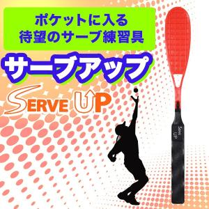 Picotino（ピコチーノ） 爆買 テニス サーブ練習 練習用具 サーブ