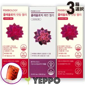 2点セット FOODOLOGY フードオロジー コレオロジーガルシニア カット