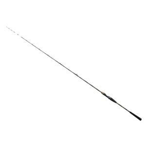 DAIWA（ダイワ） 極鋭 テンヤタチウオ 91H-161 (2025年 新製品) : 釣具