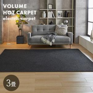 Panasonic（パナソニック） DC-3NKM ホットカーペット 本体のみ 3畳