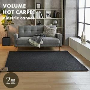 Panasonic（パナソニック） DC-2NKM ホットカーペット 本体のみ 2畳