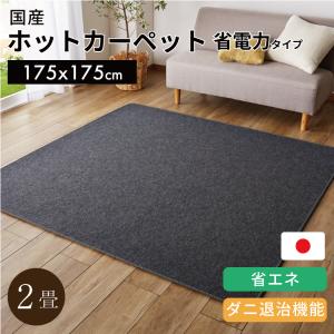 広電（KODEN） ホットカーペット本体 2畳相当 グレー VWU201H〈VWU201H