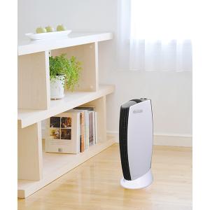 アントレックス イオニックブリーズグランデ ホワイトグレー IU867 WG