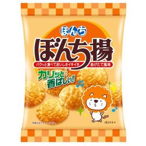 ぼんち ぼんち揚 60g入 1袋 ぼんち（株） : 善野菓子店 Yahoo