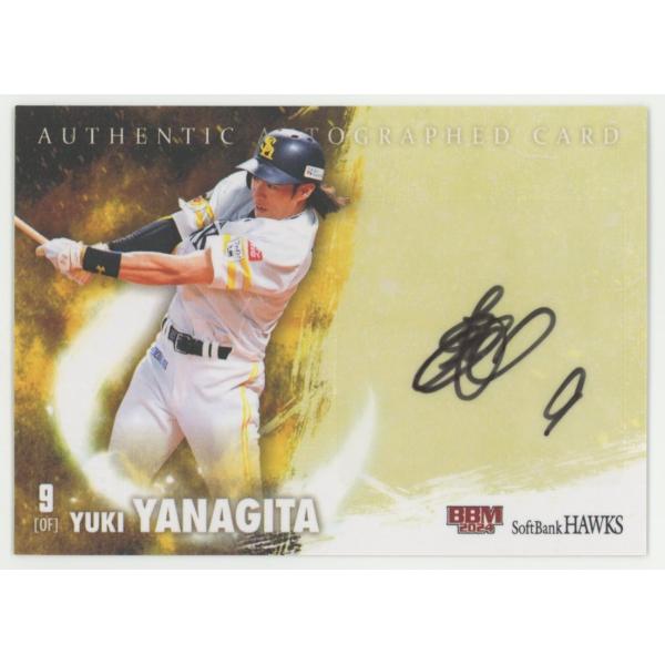 coletre_kpl171715285