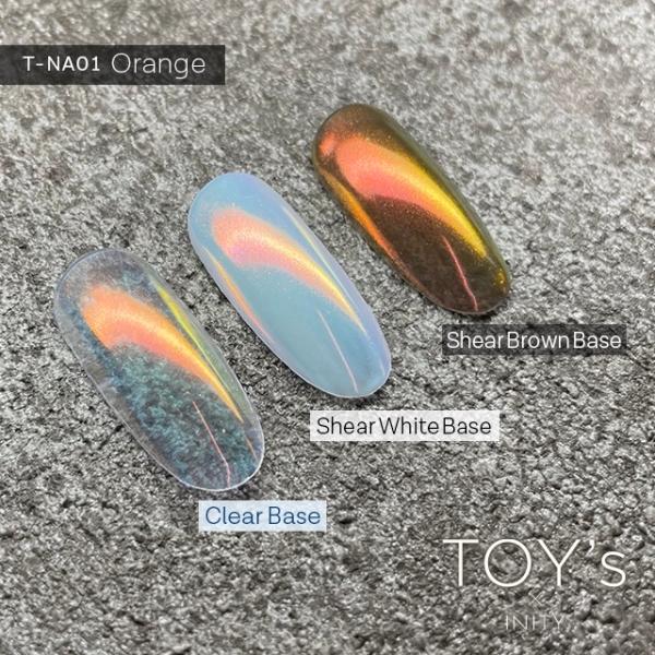 TOY's × INITY トイズバイアイニティ ニューオーロラパウダー T-NA01