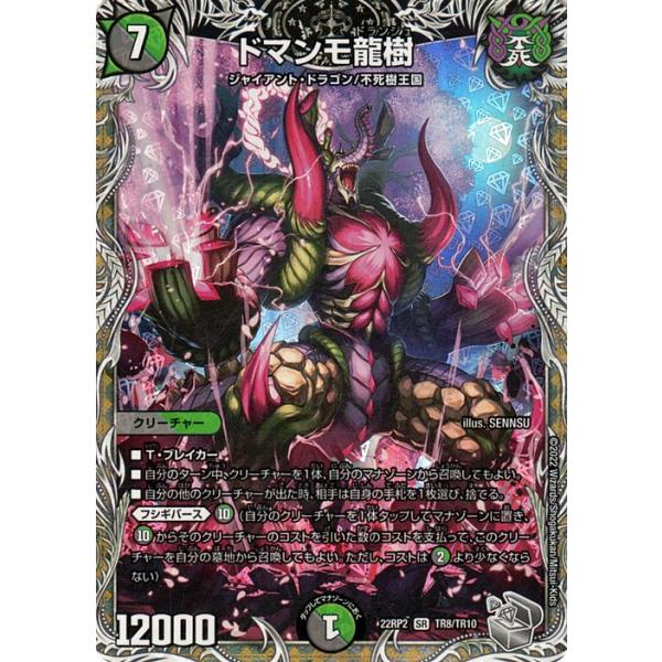 card-museum_dm22rp2-tr08-sr