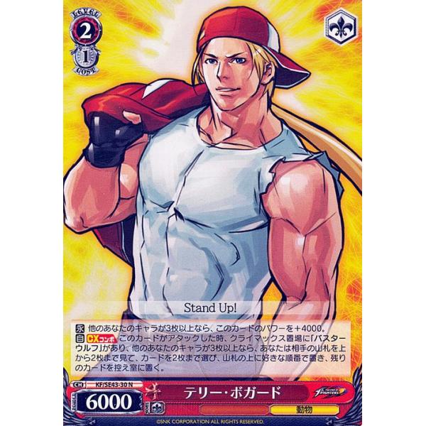 ヴァイス KOF SP サイン テリー・ボガード ⑤ ヴァイス KOF SP サイン