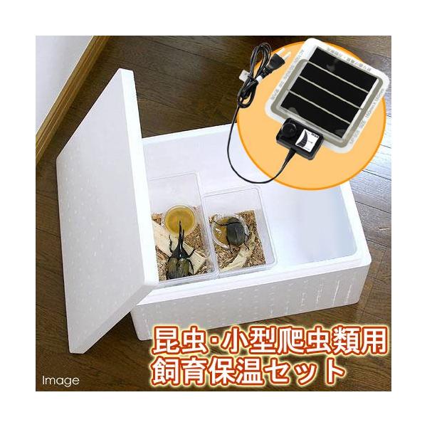 チャーム（charm） 昆虫・小型爬虫類用 飼育保温セット 発泡スチロール