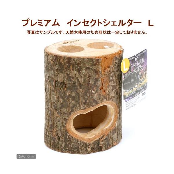 フジコン プレミアム インセクトシェルター L 昆虫 カブトムシ
