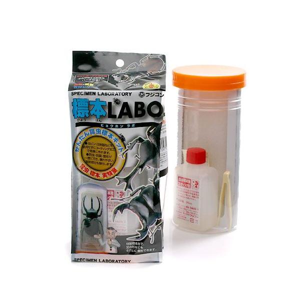 フジコン 標本LABO かんたん昆虫標本セット（1〜2匹用） 昆虫