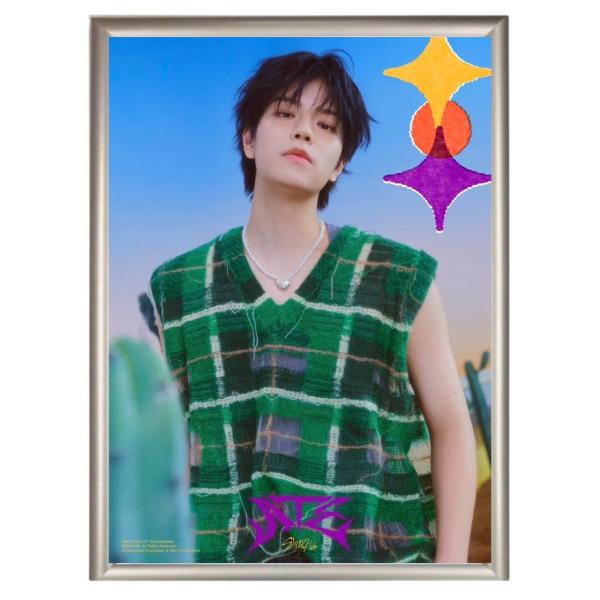 スンミン StrayKids ストレイキッズ スキズ フォトプレート 額入り