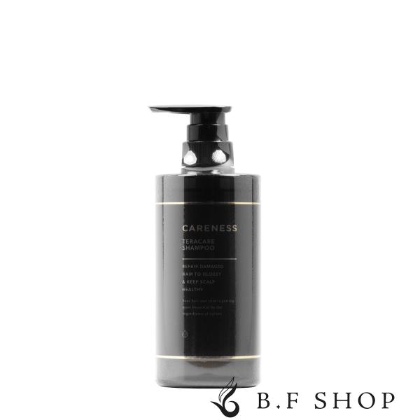 ケアネス テラケア シャンプー 500ml LSC 爆買 : B.F SHOP Yahoo!店