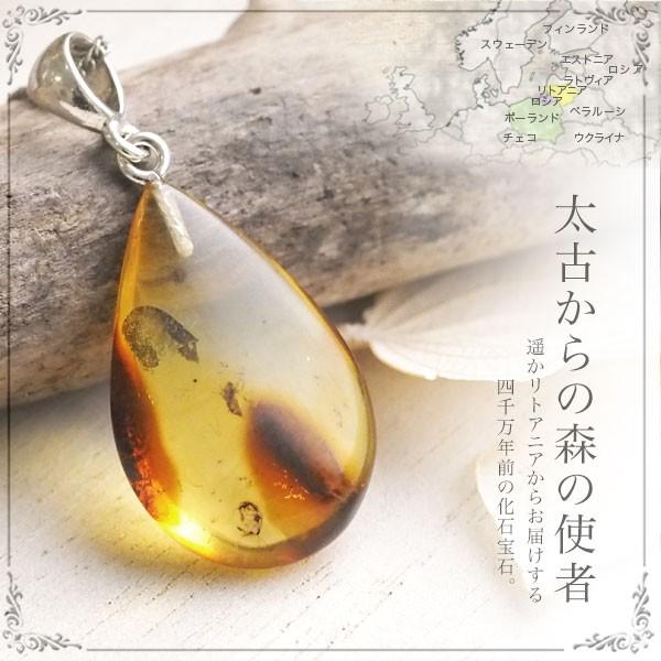 虫入り琥珀ネックレス 送料無料 シルバー Silver925 コレクション