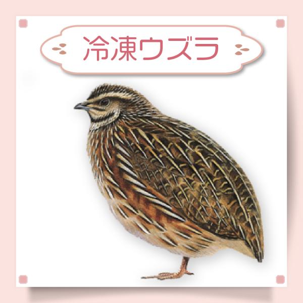 冷凍 ウズラ うずら エサ 餌 78羽 未処理 猛禽 フクロウ タカ 鷹 隼 鷲