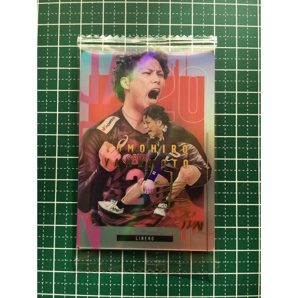 alba-tesoro_bandai-jnvt-0033