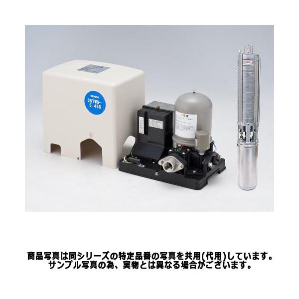 特価】テラル 25TWS-5.6S-11 深井戸用水中ポンプ (600W/単相100V/50Hz