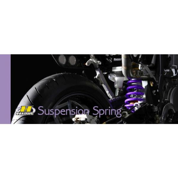 HYPERPRO ハイパープロ フロントフォークスプリング ZRX1200R/S 01-03
