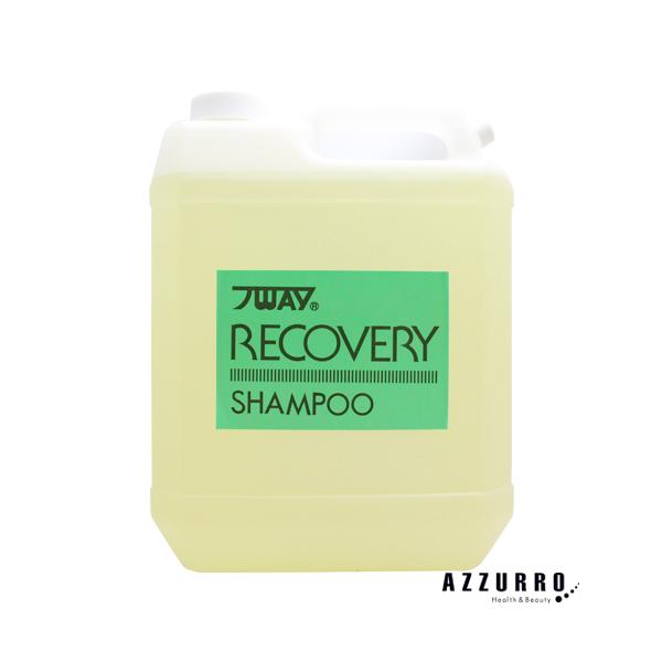 πWEY ニューウェイジャパン パイウェイ リカバリー シャンプー 4000ml