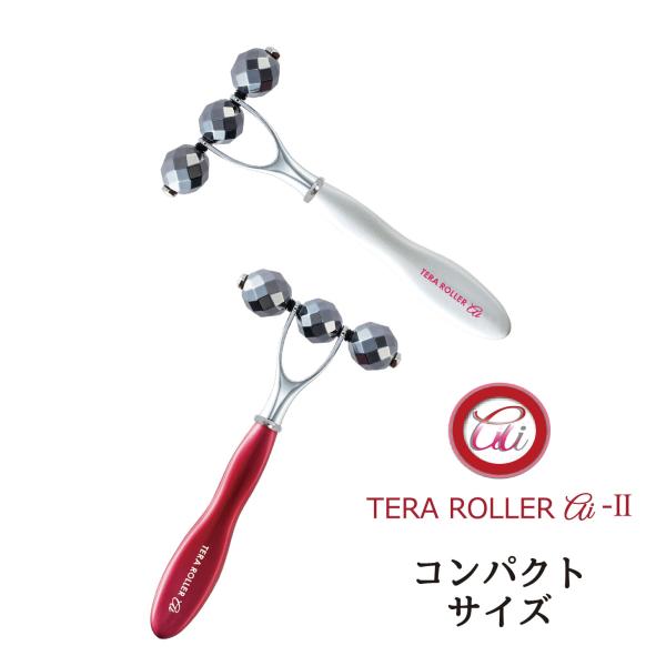 bodyandsoul_terarollerai