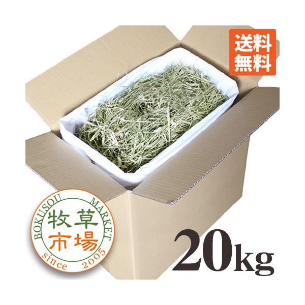 牧草市場 USチモシー 2番刈り 牧草 ダブルプレス 20kg袋入【sg