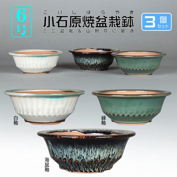 盆栽鉢 小石原焼6号胴縄丸鉢3点セット 山草鉢 植木鉢 口径18cm 中品