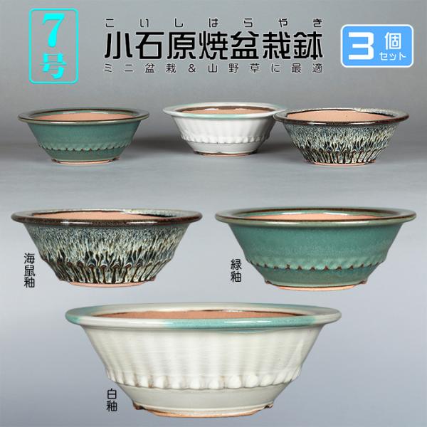 盆栽鉢 小石原焼7号胴縄丸鉢3点セット 山草鉢 植木鉢 口径21cm 中品