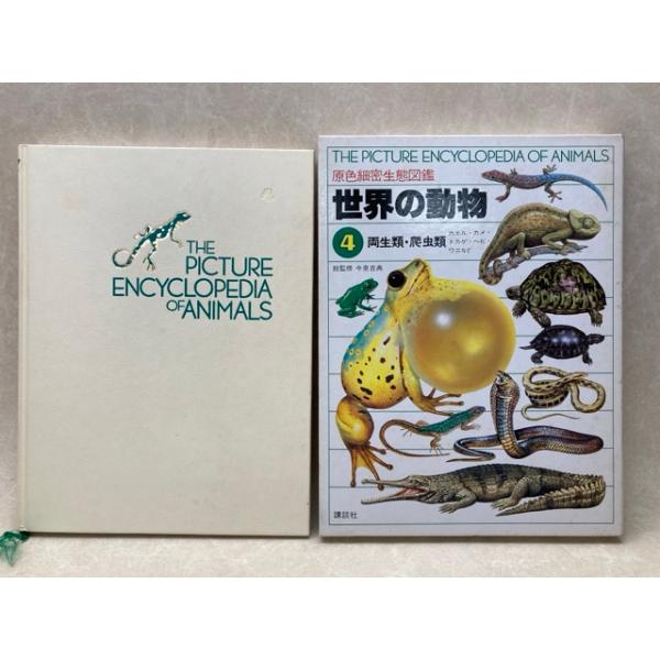 世界の動物4 両生類・爬虫類 原色細密生態図鑑／講談社 : 太田書店