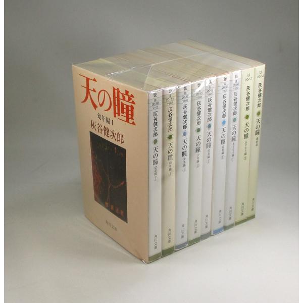 天の瞳 全9冊 灰谷健次郎 角川文庫 全巻 セット 全巻、表紙アルコール