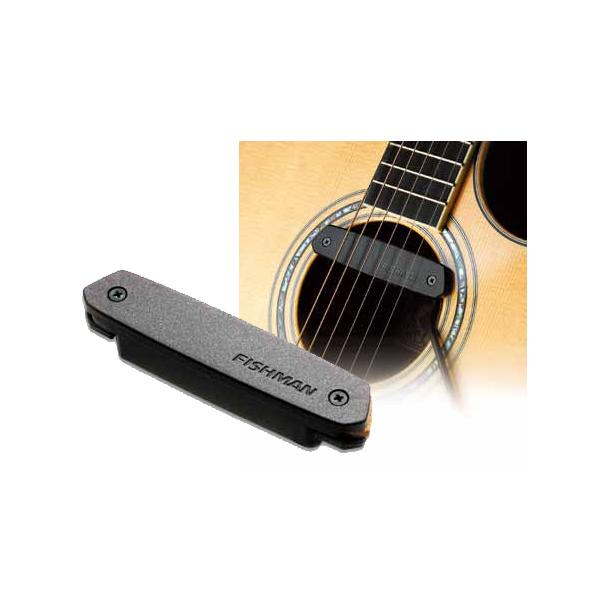 FISHMAN サウンドホールピックアップ PRO-NEO-D01 Single〈フィッシュ