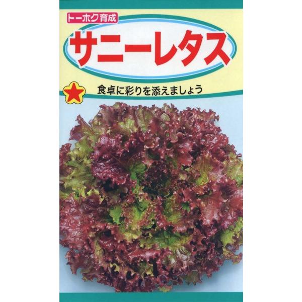 野菜種子 サニーレタス トーホクのタネ : Gardener s Shop Ivy - 通販