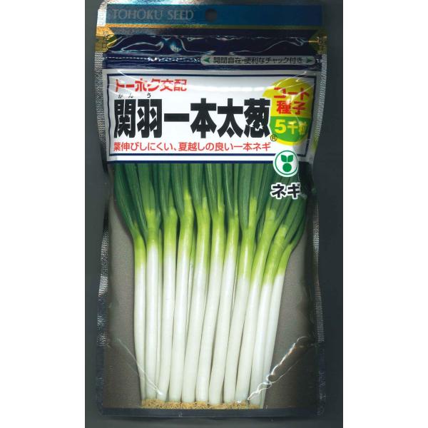 ねぎ 関羽一本太 ペレット種子5千粒 （株）トーホク : グリーンロフト