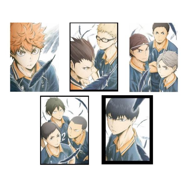 ハイキュー!! 烏野高校 VS 白鳥沢学園高校 サードシーズン DVD Vol.1