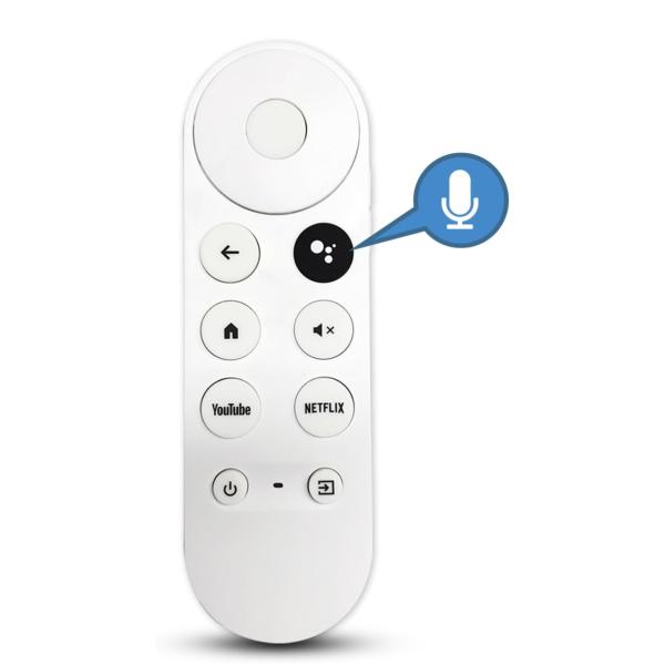 electrojapan_googleremote