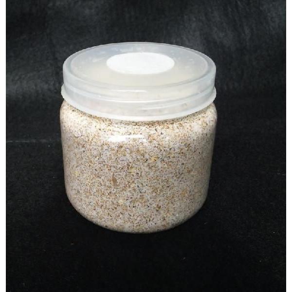 トレハロース入り 菌糸クリアボトルSRD-500ml（クヌギ100％・二