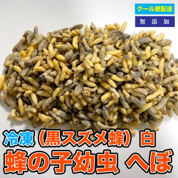 肉食性爬虫類 両生類 大型魚 冷凍餌 冷凍蜂の子幼虫（黒スズメ蜂）白