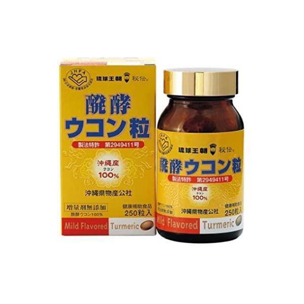 沖縄ウコン堂 【沖縄ウコン堂】醗酵ウコン粒 500粒入 : ドラッグストア